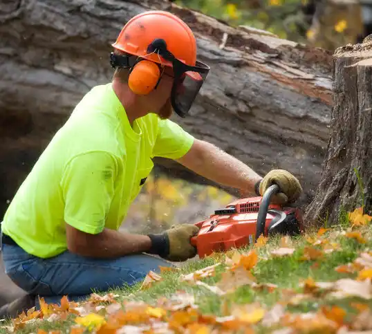 tree services North Cape May